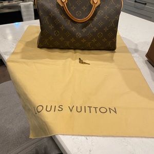 Louis Vuitton Speedy 30
